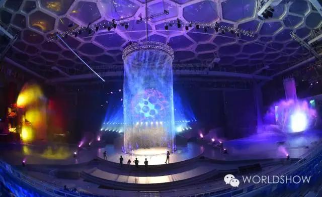 最惊艳的鸟巢,鸟巢吸引鸟的视频