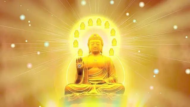 舍利为什么是佛教至宝,佛家说的舍利是什么样的