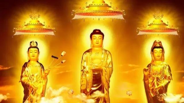 佛家大德舍利是怎么产生,佛家称的舍利是什么