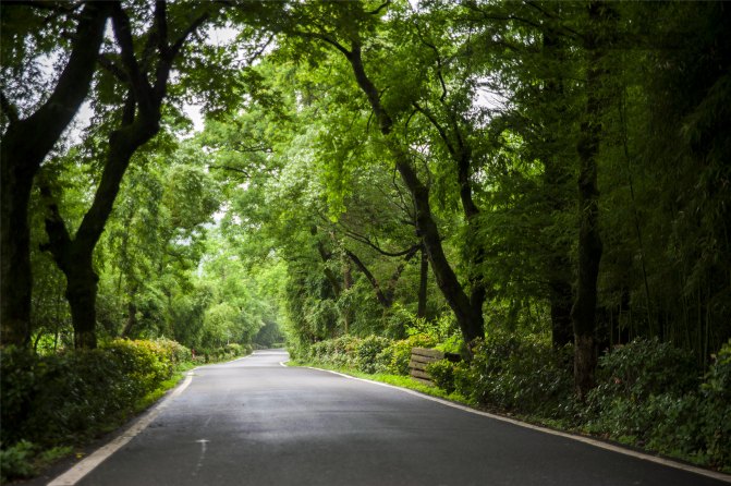 在这座神山中，我们每个人都是武林高手