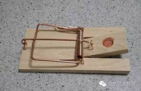 消灭老鼠的秘籍,消灭老鼠的妙招家庭灭鼠七种方法