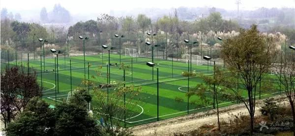 欧洲杯足球在哪里踢得好,欧洲杯足球场地在哪里