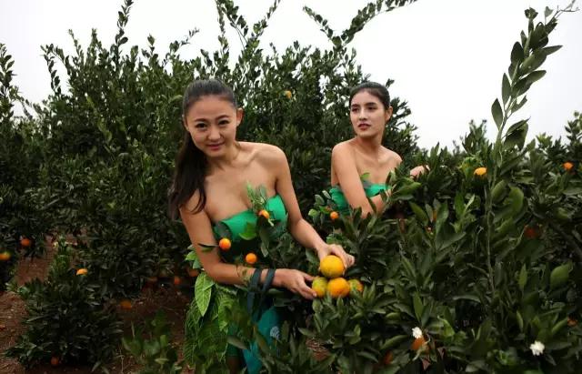 夏天水果补水面膜,面膜水果面膜