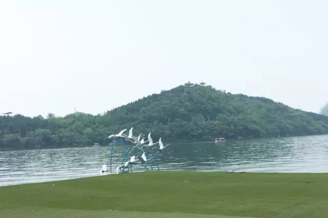 388元住酒店,350元在泰国住宿