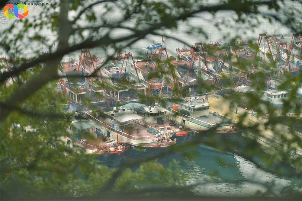 珠海海边沙滩哪里好玩可以烧烤,珠海哪些海边可以自驾烧烤露营