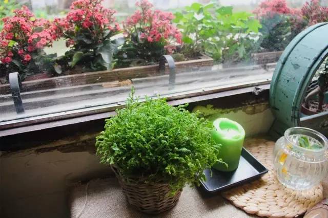 重庆茶室最出名的茶馆,重庆喝茶打麻将的地方都有哪些