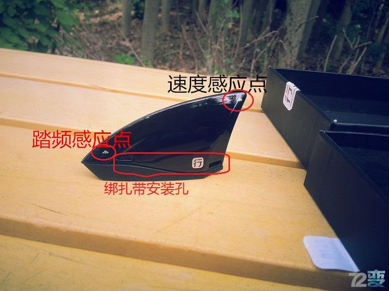 骑海里的一条小鲨鱼——行者鲨鱼鳍踏频试用