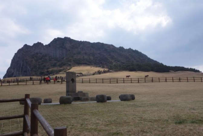 济州岛玩包车还是租车好,说走就走的韩国旅游