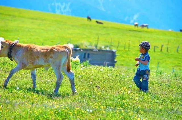 在*疆新**,睡觉是一种浪费?