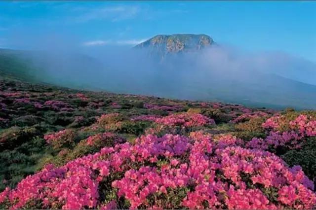 天津直飞泰国航班每周几次,天津去普吉岛有直飞吗