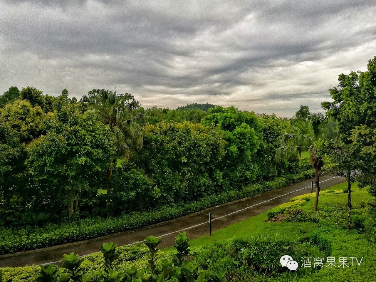 加勒比邮轮之旅,游轮畅游加勒比海