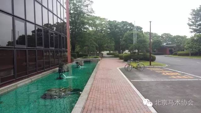 日本赛马会,日本中央赛马