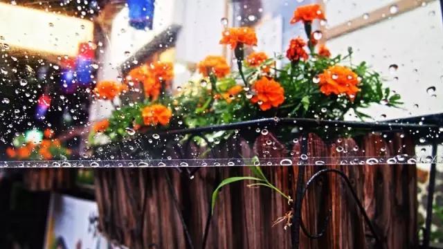 798艺术区有什么值得打卡的,798跟着感觉走