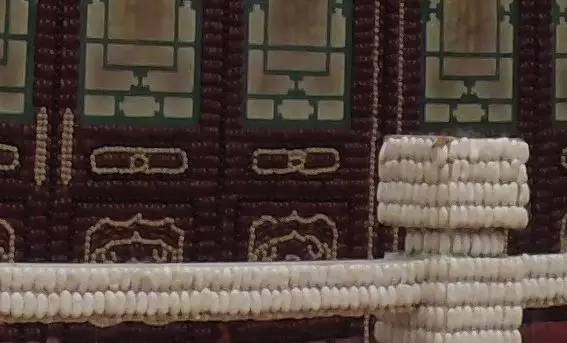 带上小蚁运动相机游潍坊（三）寿光菜博会