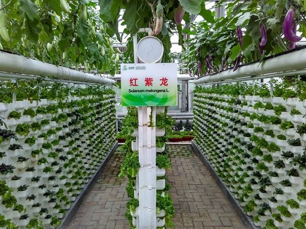 带上小蚁运动相机游潍坊（三）寿光菜博会