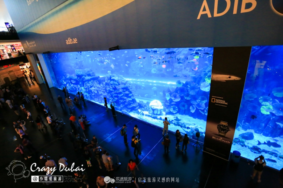 迪拜购物季时间,迪拜购物季推荐