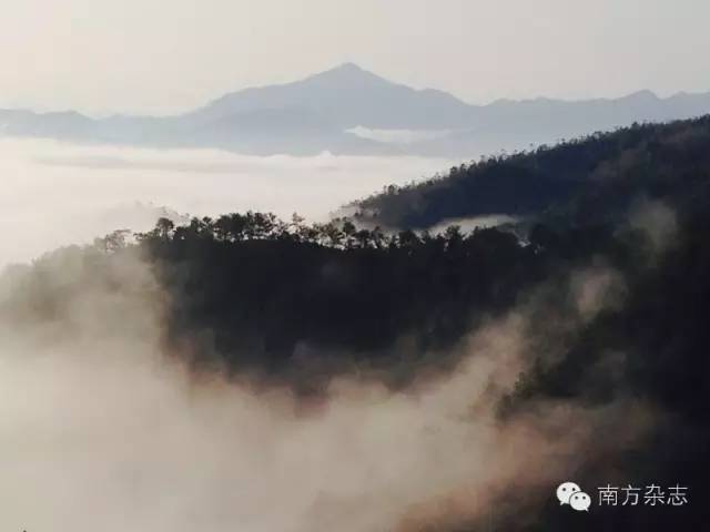 丰顺和大埔,大埔丰顺篮球比赛