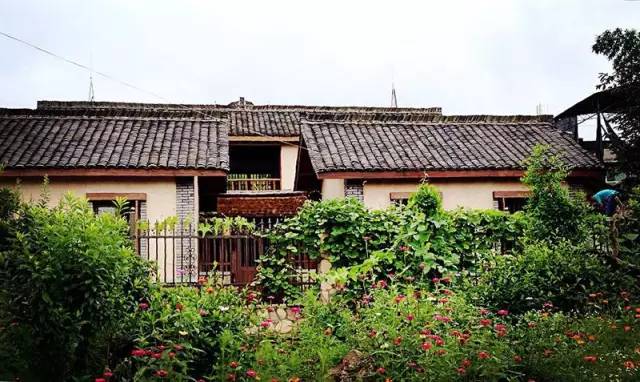 东南第一山私藏浙南最美的风情,浙江山林美宿攻略