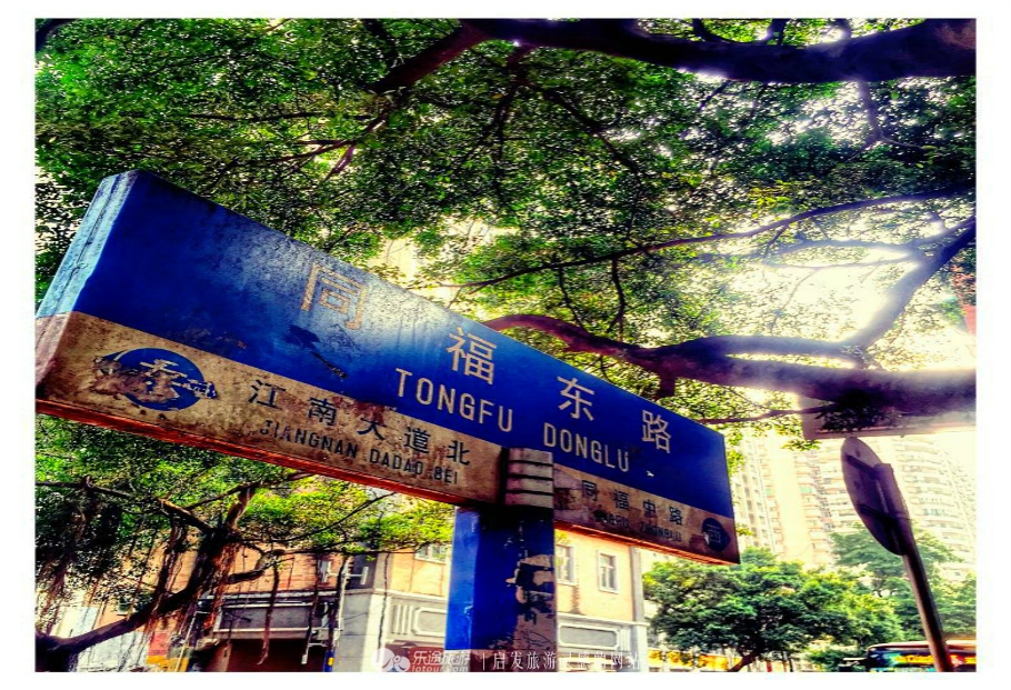 从街边小店到日本,广州最正宗的啫啫煲