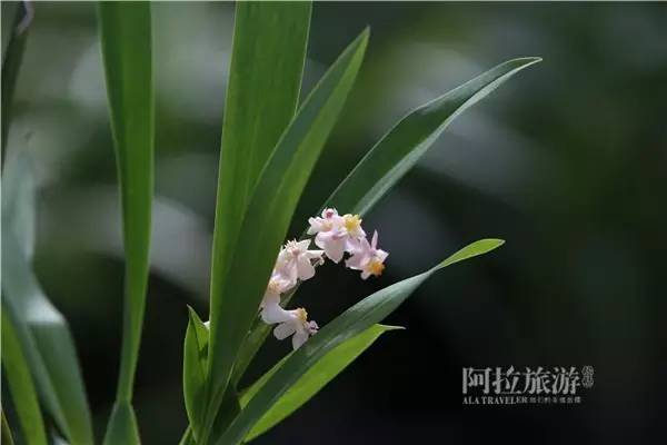 宁波第一大岛是什么岛,宁波梅山岛哪个区