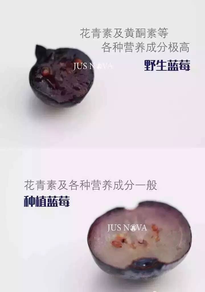 临沂百家美食微商，一人一份大礼送给你！（第一波）