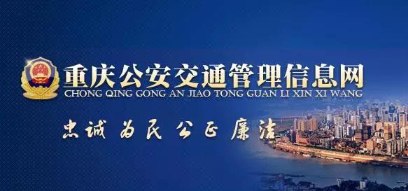 重庆崽儿所有视频,重庆崽儿原版视频