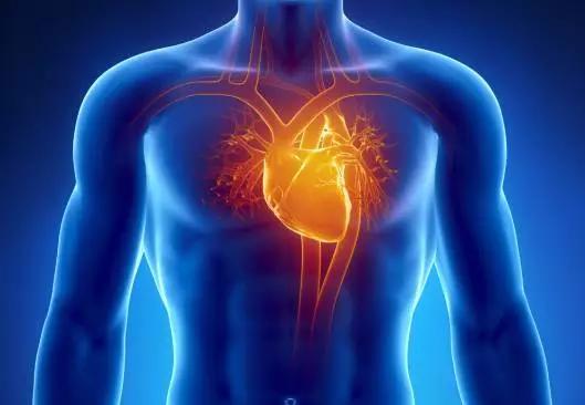 机械模拟正常心跳:新型纳米材料“心脏电网”