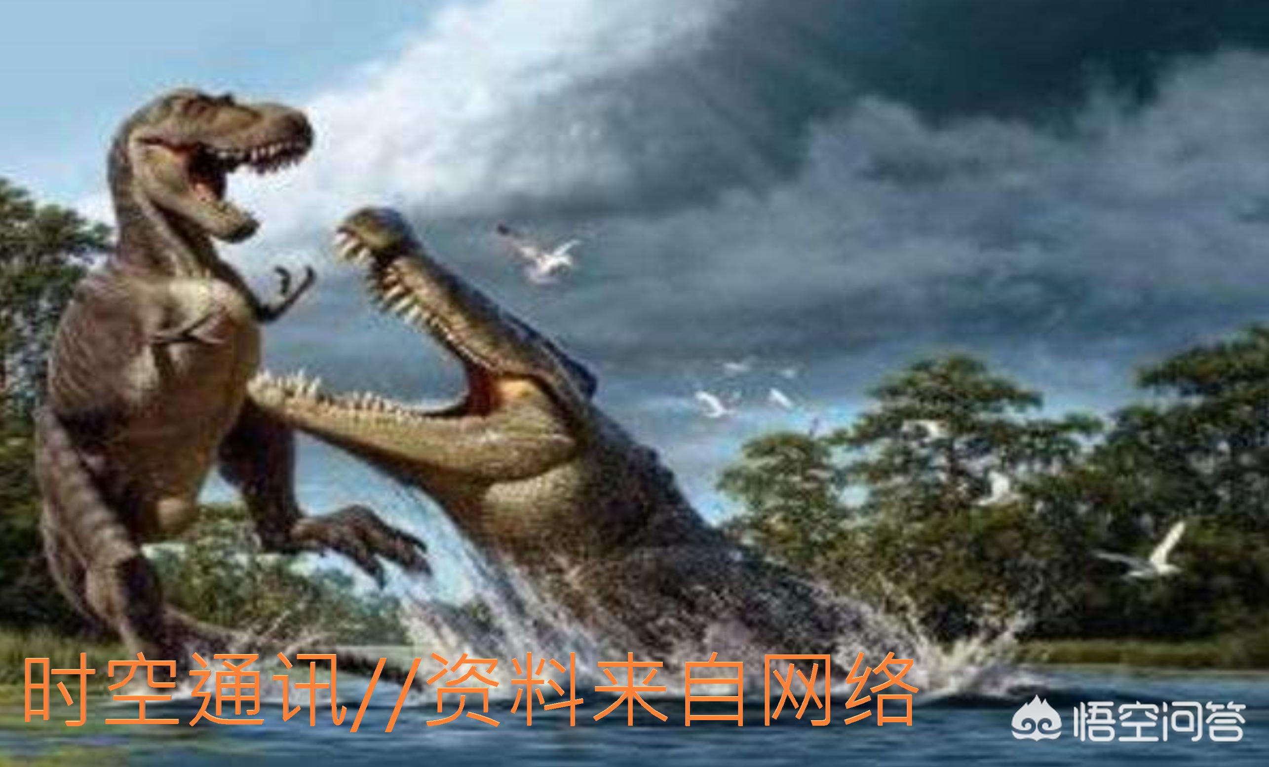 假如地球没有人类完整版,没有人类的地球纪录片