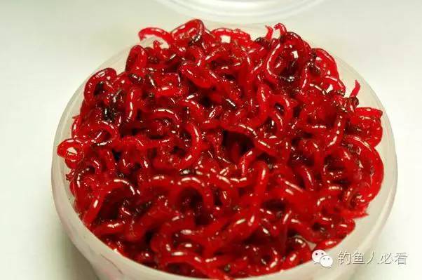 新手鱼饵怎么弄的好用,开好的鱼饵用不完保存小技巧