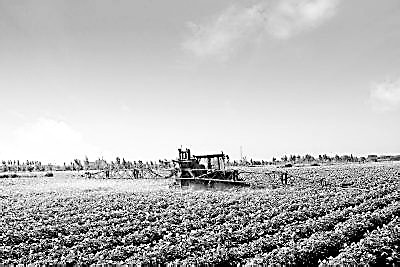 中新贸易合作新政策,中新农业发展