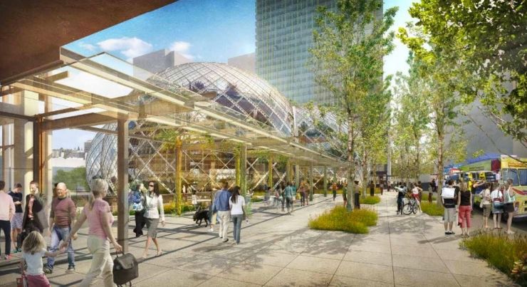 亚马逊植物图片,亚马逊新图像