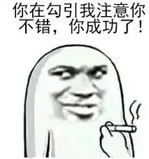 骄傲王源tfboys演唱会,鹿晗大张伟潘玮柏ella