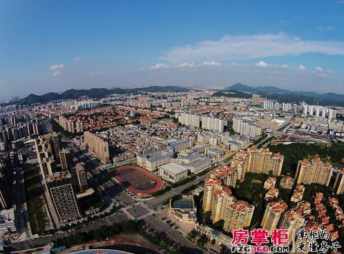 广东华南虎主场不敌稠州金租,广东华南虎不敌天津先行者