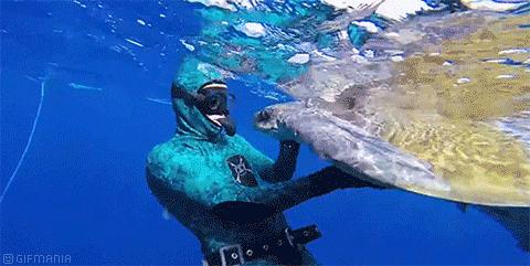 吃个饭感觉去了新加坡,在佛山我只服星州大椰!