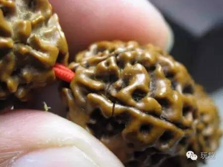 金刚裂了怎么办,金刚裂到什么程度就不能要了