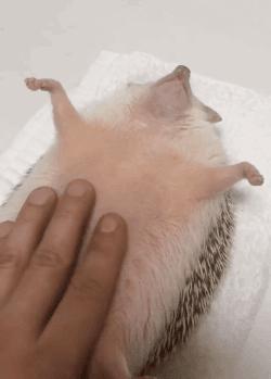 玻璃钢，玻璃和钢的爱恋