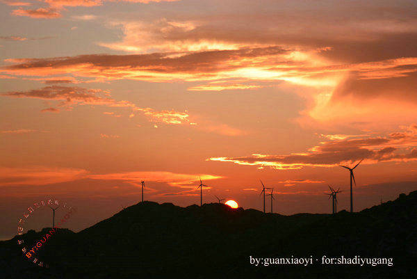 别让水印成为尴尬－摄影早自习第84日