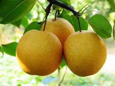 夏季感冒怎么办?