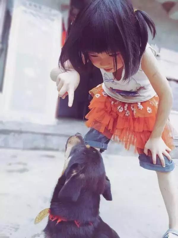 优秀手机摄影作品的五个要素,手机拍的作品