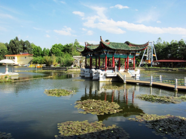 高洪波国足,国足本土教练高洪波