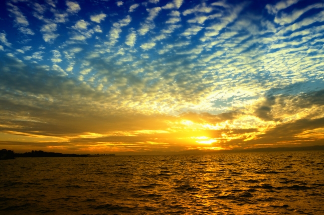 高洪波国足,国足本土教练高洪波