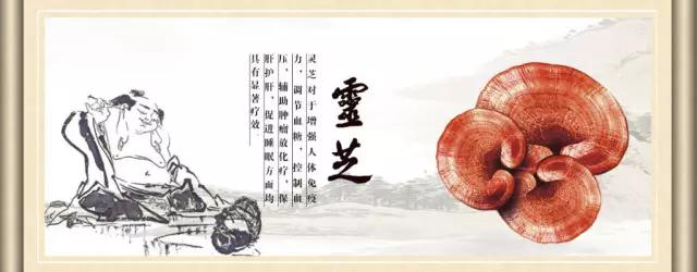 头晕脑胀想睡觉吃什么药,头晕眩晕吃灵芝孢子粉可以吗