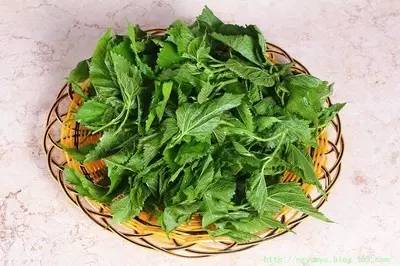 夏季感冒怎么办,预防夏季感冒