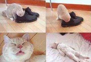 主持人乌小兰给宝宝的小脚丫除臭小偏方