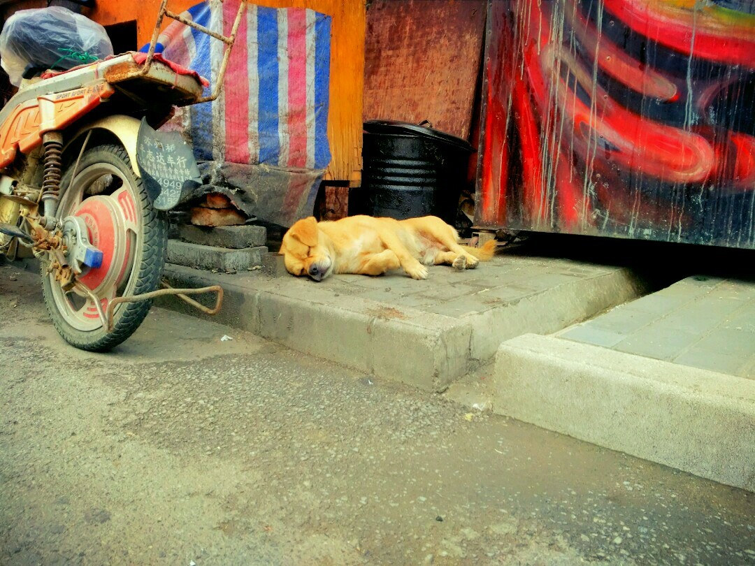 miui8相机专业模式,全方位感受身临其境