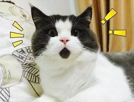 带你看日本人在越南买什么,带大家去看日本购物商场