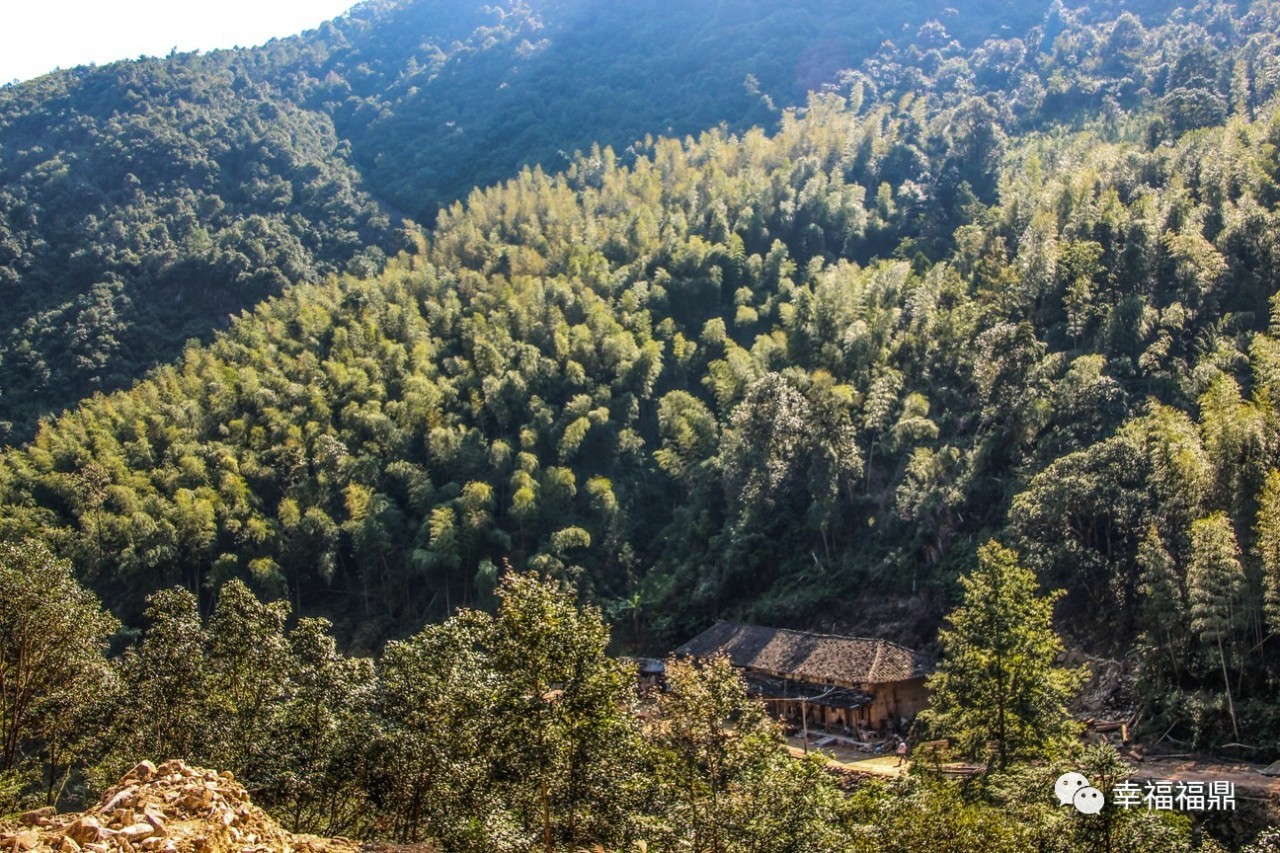 秘境杨梅,安吉杨梅溪