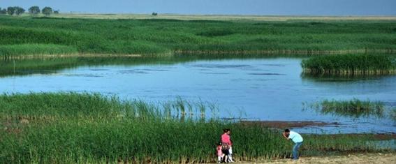 呼和浩特清明节郊游好推荐,呼和浩特周边踏青好去处