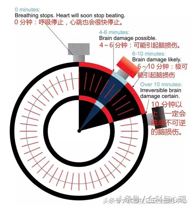 吃东西噎住了怎么急救,吃东西噎住了怎么办急救法