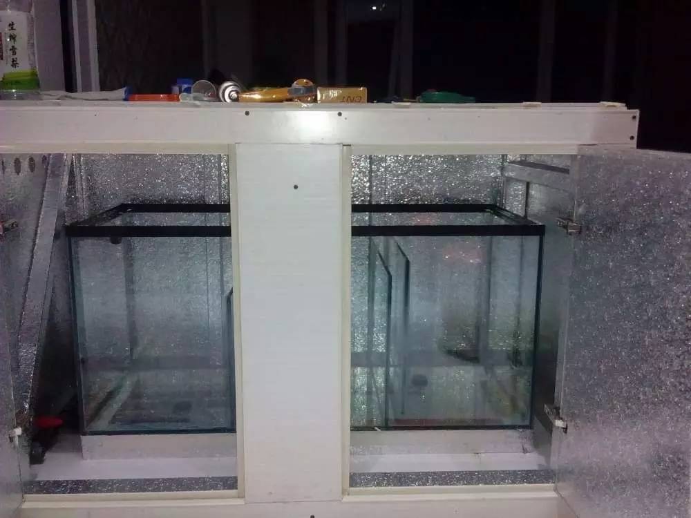 没养鱼有油膜,没养鱼只是在岸上走